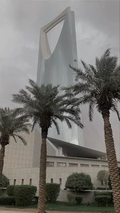 lightshadow111's tweet image. 