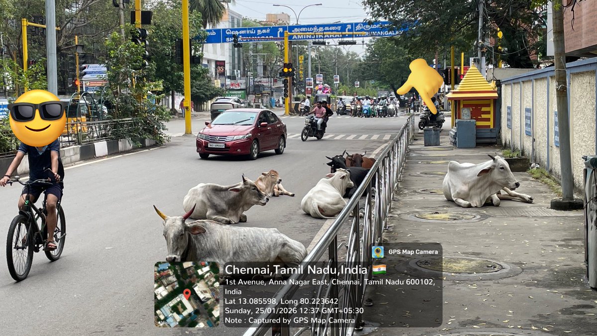 Vanakkam <a href="/CumtaOfficial/">CUMTA | Transport Authority</a> please take note of these encroachments &amp; instruct <a href="/chennaicorp/">Greater Chennai Corporation</a> and other respective authorities to have them removed/shifted appropriately.

Chennai has plenty of proper religious places of worship, we don't need footpath ones. 

நடைபாதை நடப்பதற்கே!