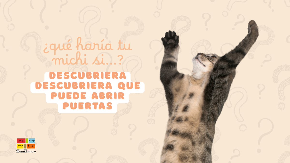 ¿Qué pasaría si tu gato descubriera que puede abrir puertas?

A) Miraría la manilla como si fuera un tesoro 🧐
B) Entraría y saldría sin pedir permiso 🚪
C) Te recordaría quién manda en casa… silenciosamente 😼

#sandimas #finde #juegosfinde