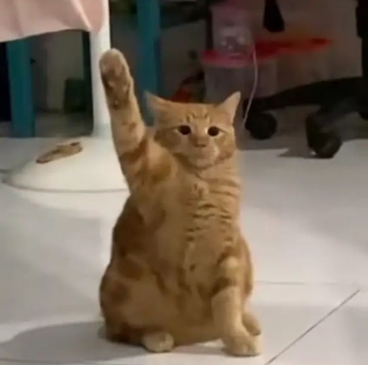 flowjustflow's tweet image. 