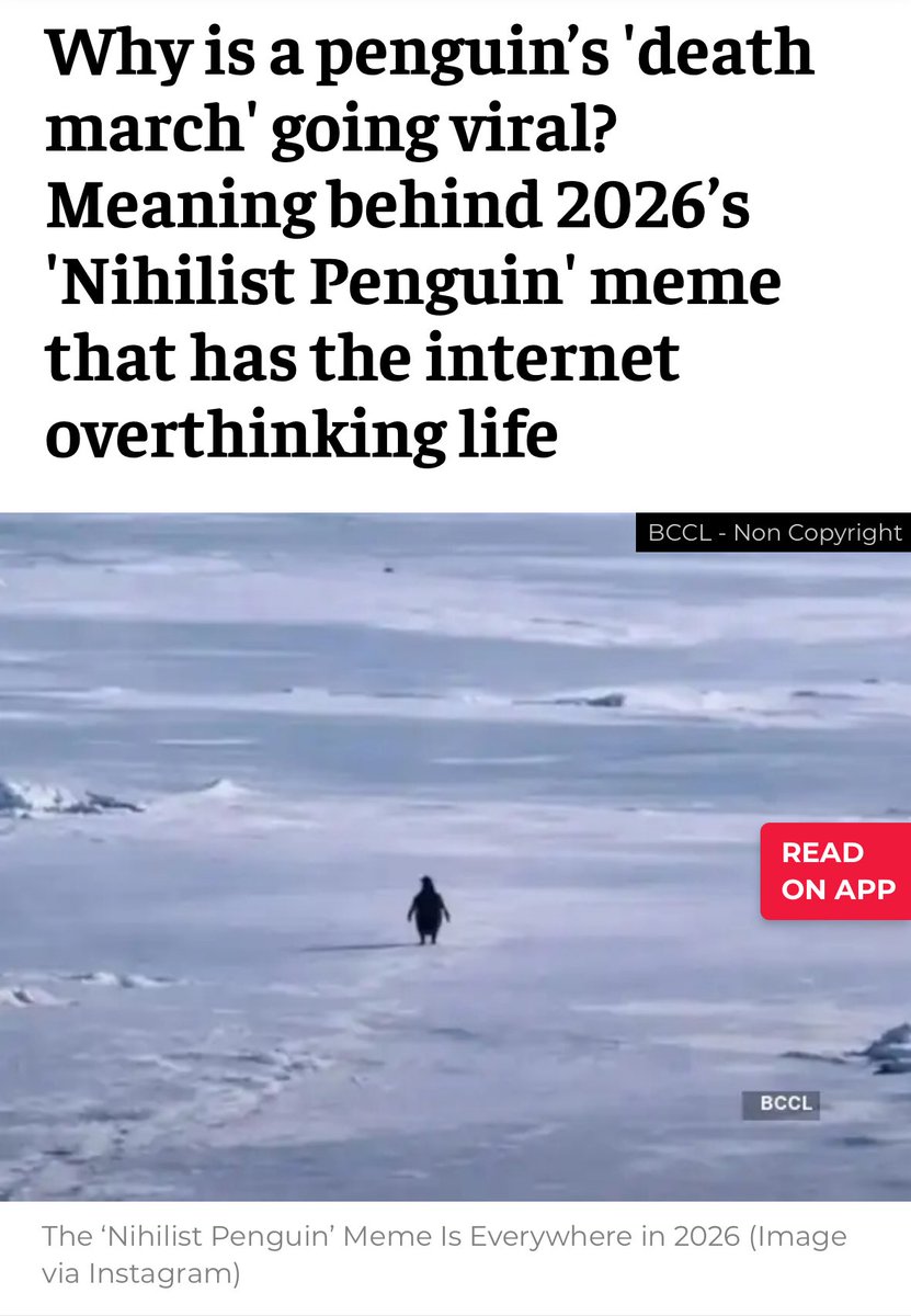 熊猫PANDA🔸🈸 tweet media