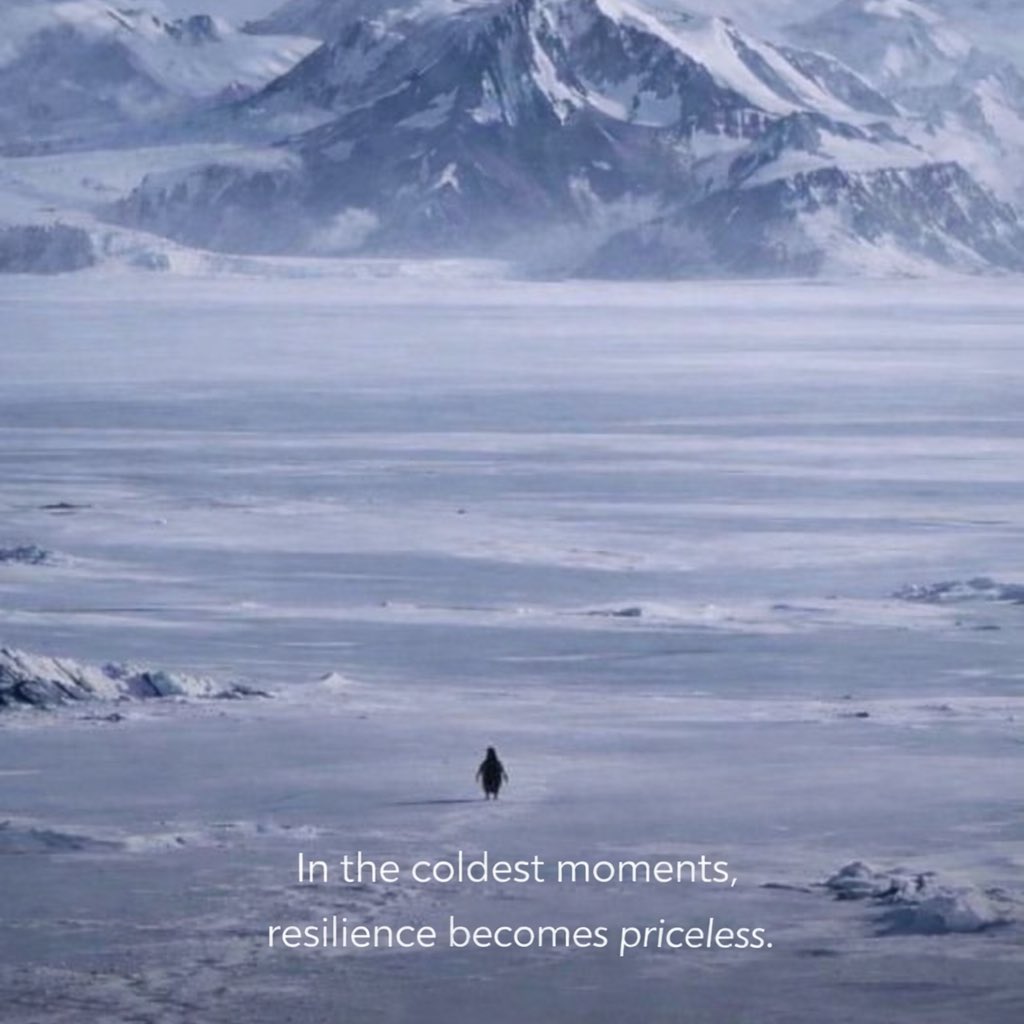 Priceless tweet media