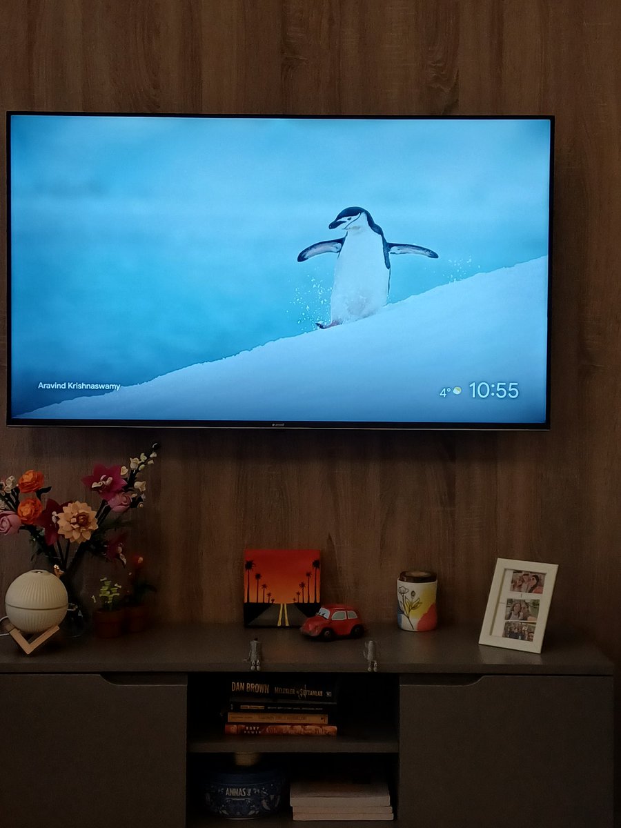 kendi yolunu çizen penguen ekran koruyucu fotoğrafı çıktı bi anda, güno