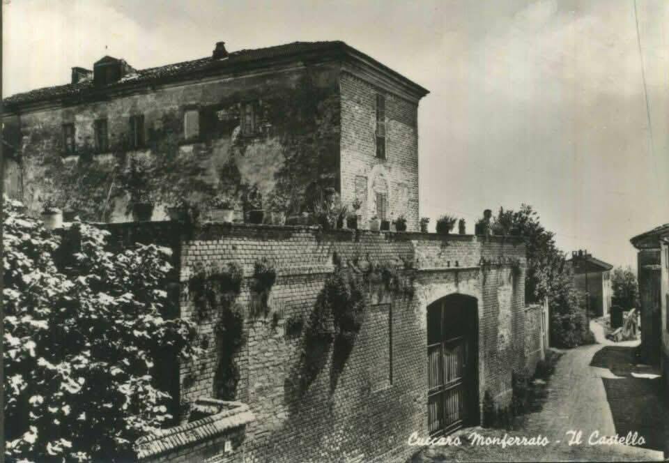 PCProvAL's tweet image. Buongiorno dal #SocialMediaTeam della #pcproval
Continuate a seguirci.
Oggi vi portiamo a #CuccaroMonferrato instagr.am/p/DT7RmTaj8TP/