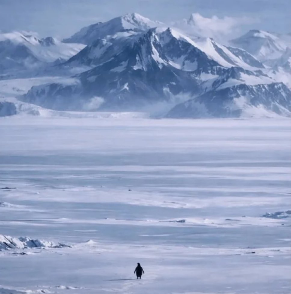 if you’re the mountain, i will be the penguin