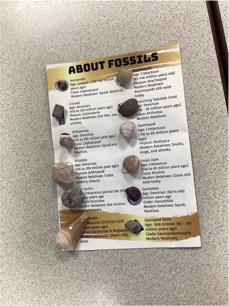 Beech Hill School tweet media