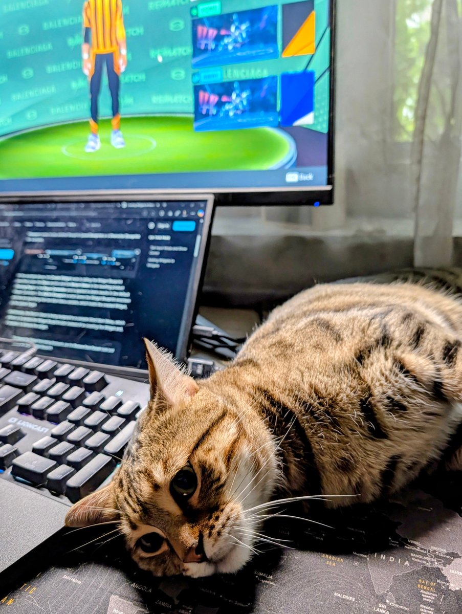 itsMVRP's tweet photo. One of us is playing, the other one is plotting world domination! 🕹️😼

#Rematch #CatsOfTwitter #Gaming #Cat #Cats #PCGaming #Wholesome #VideoGames https://t.co/yiknesDQ9N