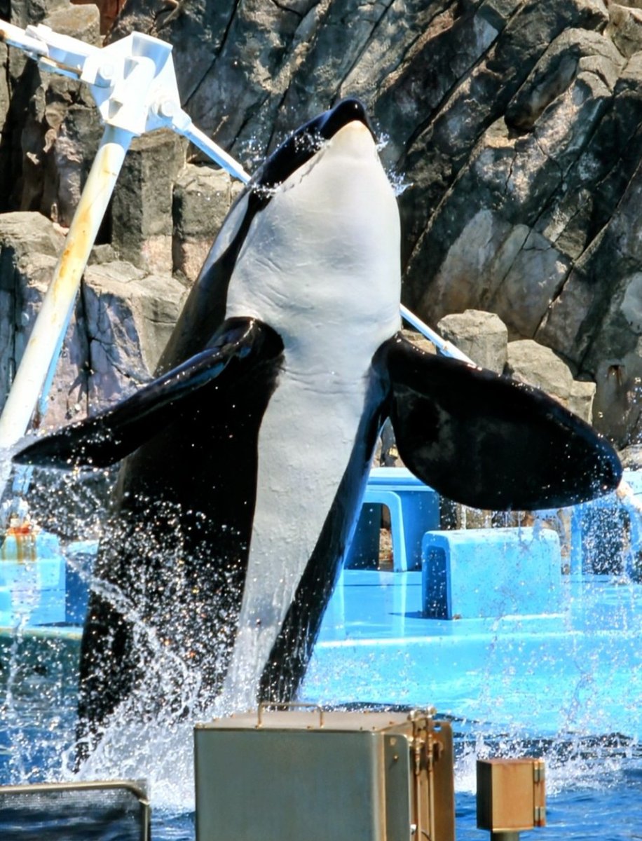 新しい掲示物はリンちゃんのみになってしまったけど、ステラさんが移動