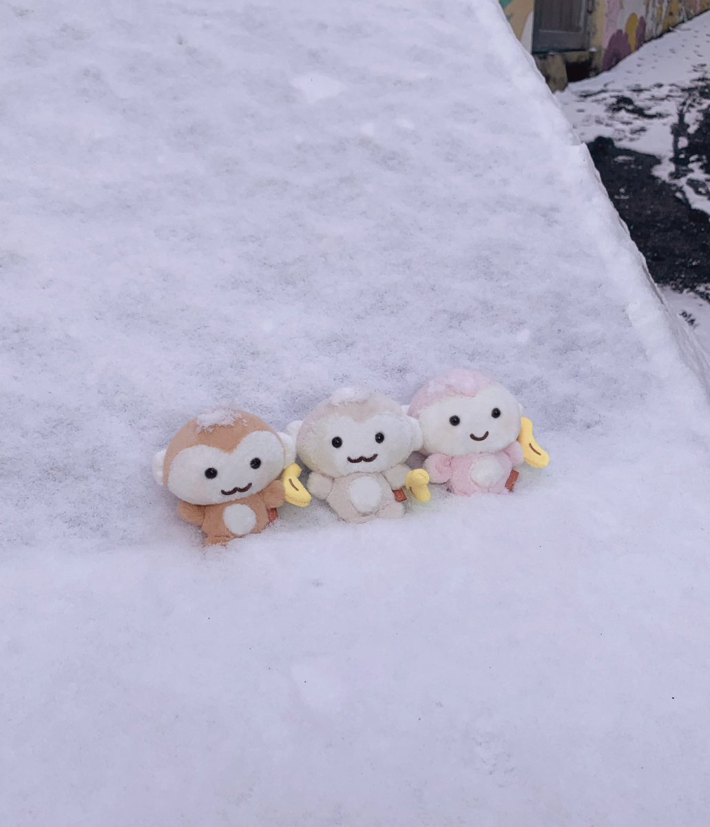 핑루 ✩ tweet media