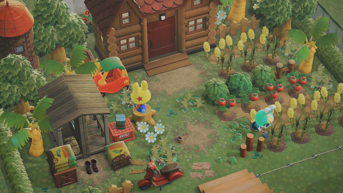 🌽🌽🌽

#acnh #animalcrossing #あつ森