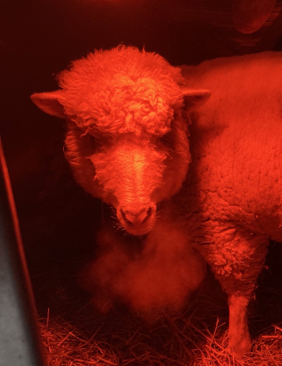 She is red because she is evil