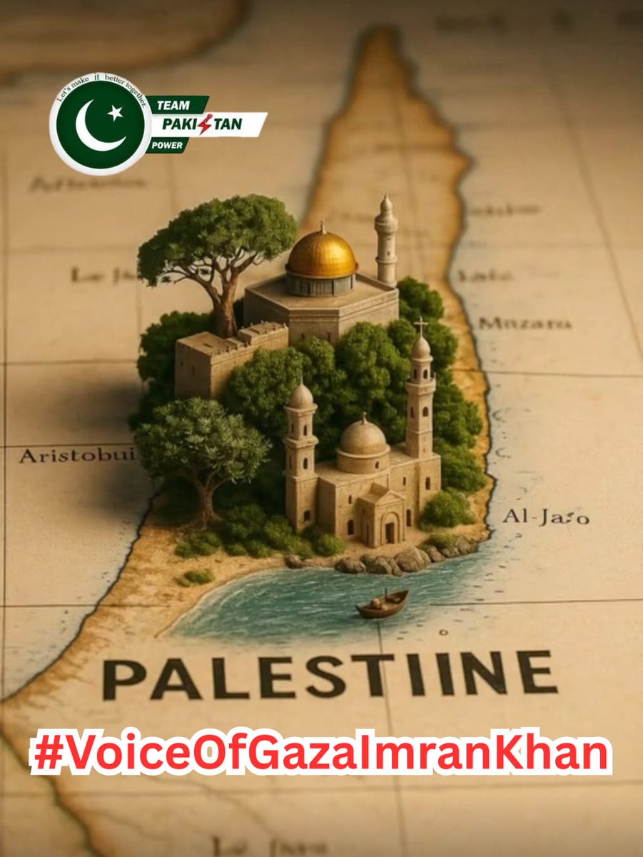 🤨 عالم آرا tweet media