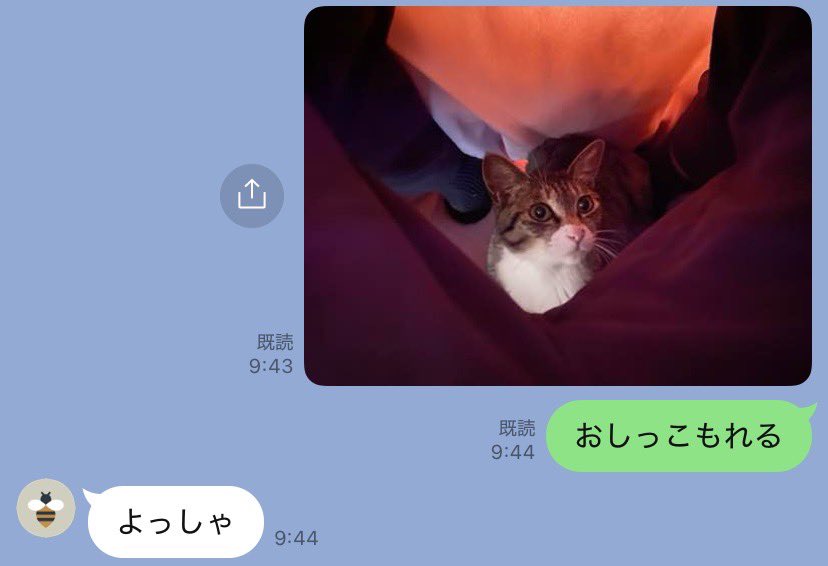 パートナーが猫に構われてるときの罵倒が一種類しかない