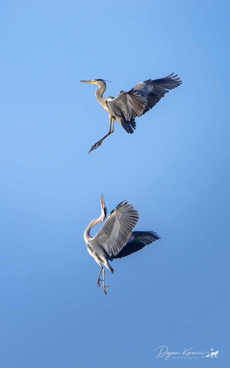 Evo i za pozadinu ko voli
