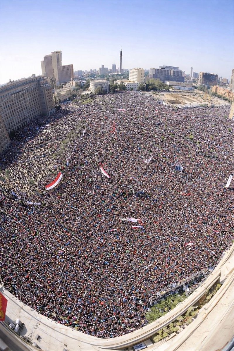 Vet1122's tweet image. #25jan
#25January