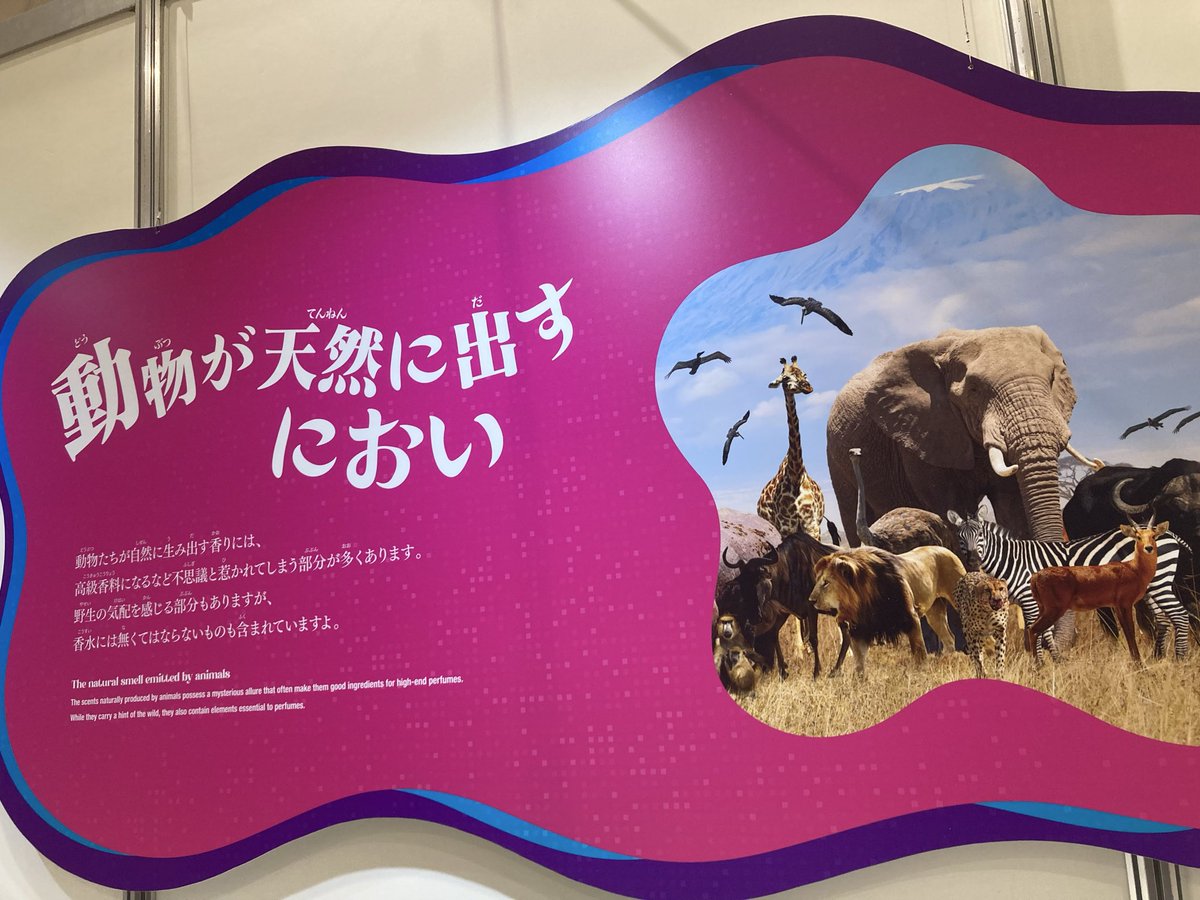 正井創太(まさいそうた)/声優の卵 tweet media