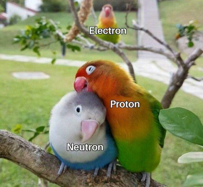 ThePhysicsMemes's tweet photo. The poor electron is third wheeling #rocket https://t.co/elF9EavHG7