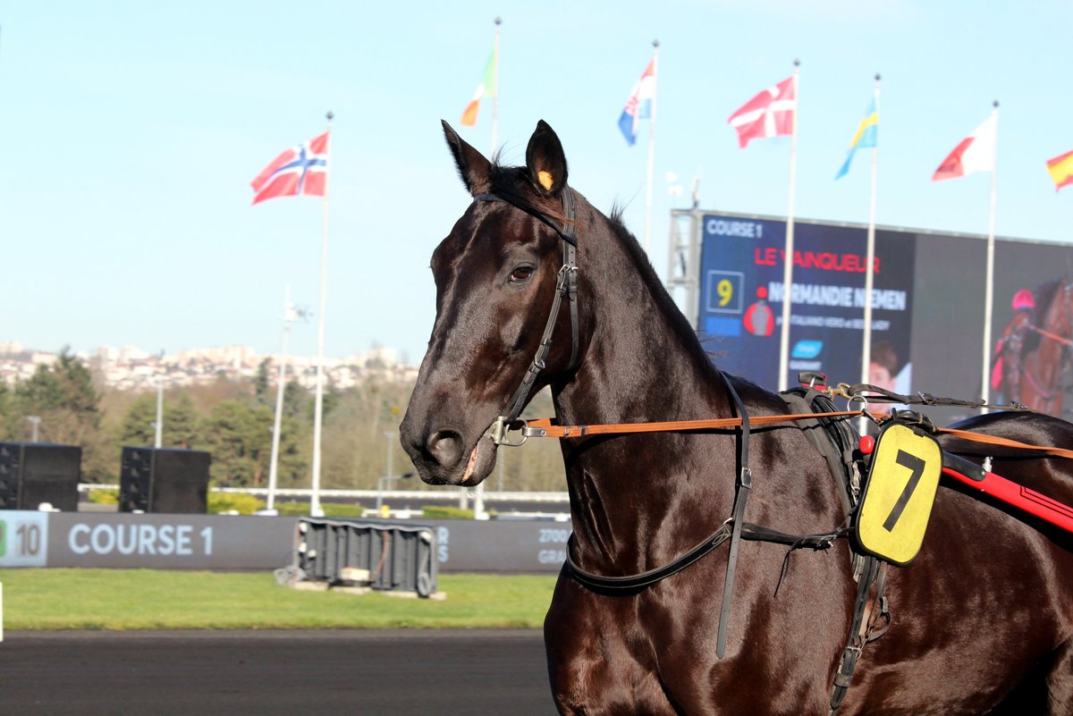 mondor44 tweet media