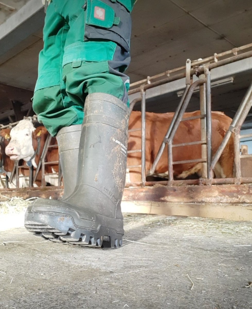 PuroHaix (@haixpuro) on Twitter photo 