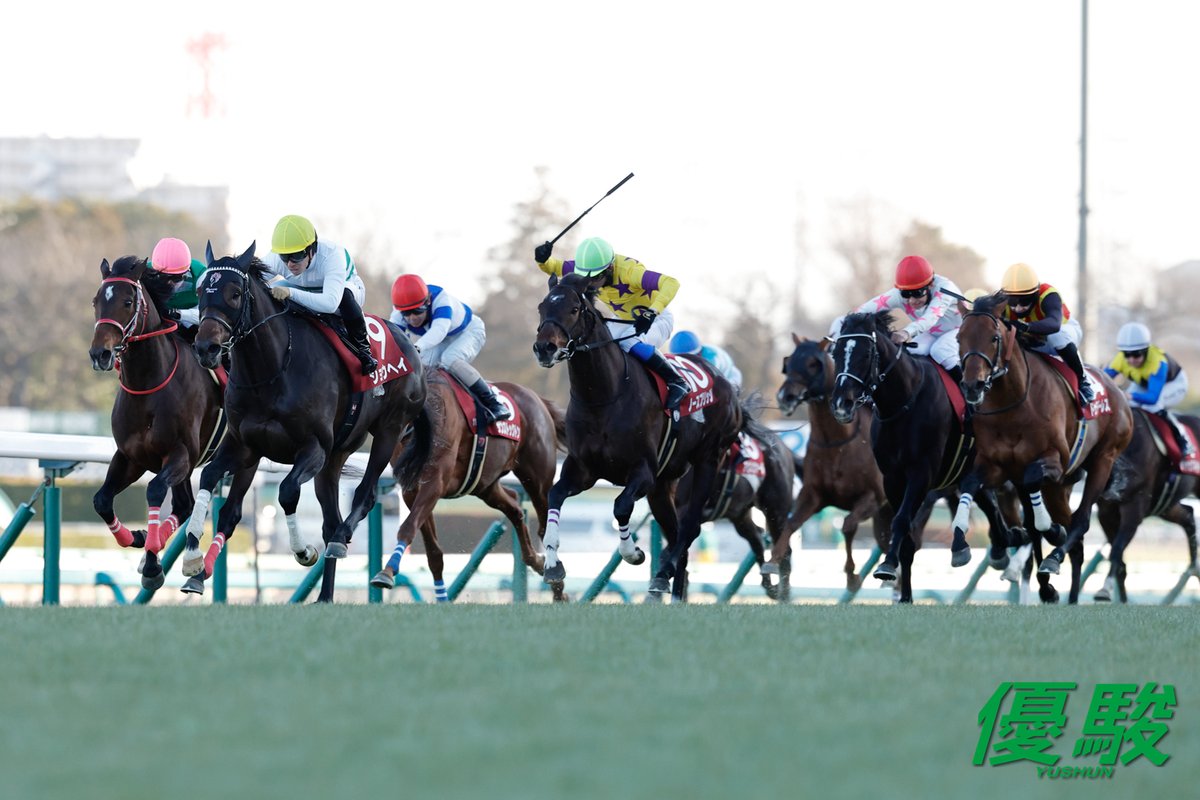 第67回 #アメリカジョッキークラブカップ は日本ダービー3着馬 