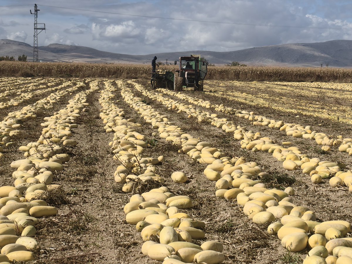 Süleyman Soylu tweet media