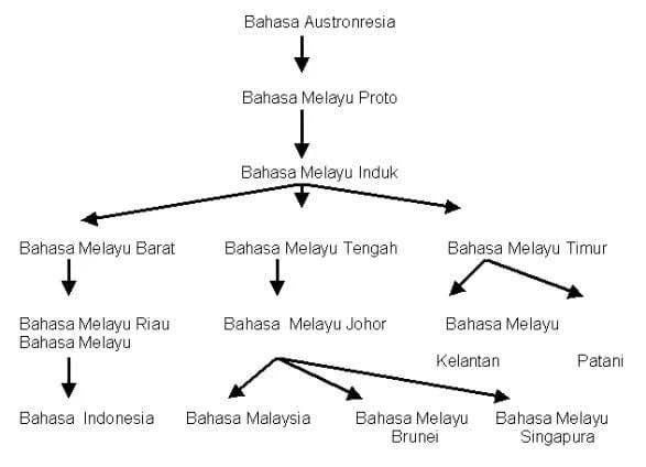 EkaEka499's tweet image. Katanya IQ tinggi, asal muasal bahasa sendiri aja ga tau, lagian mentang" namanya malaysia jadi mikir bahasa Melayu punya kalian gitu? noh prasasti bahasa melayu tertua aja di Palembang tahun 683 Masehi, malah prasasti kalian paling tua tahun 1303, pake huruf arab Jawi lagi wkwk