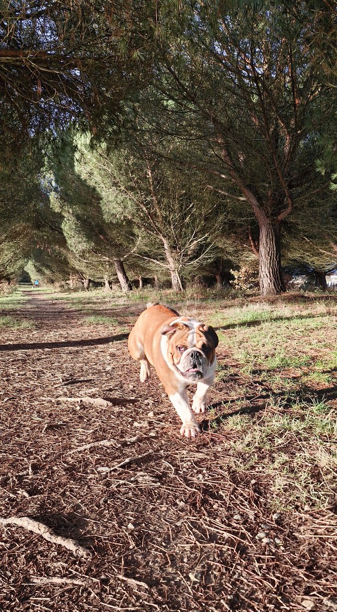 Miss Moneypenny tweet media