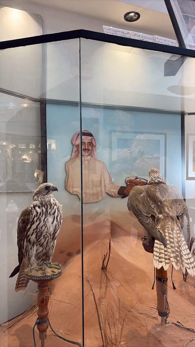 صباحيات❣️