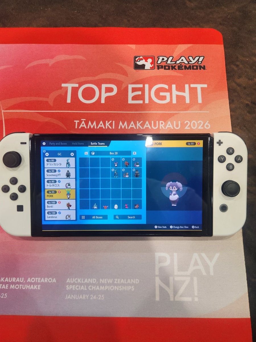 DimtheSimVGC tweet media