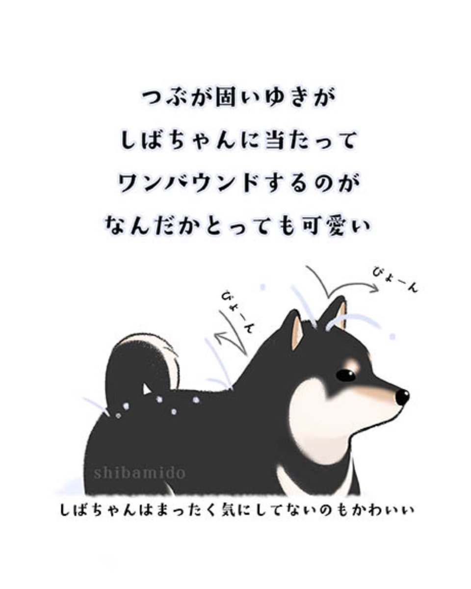 そう思うのは…私だけでしょうか👀