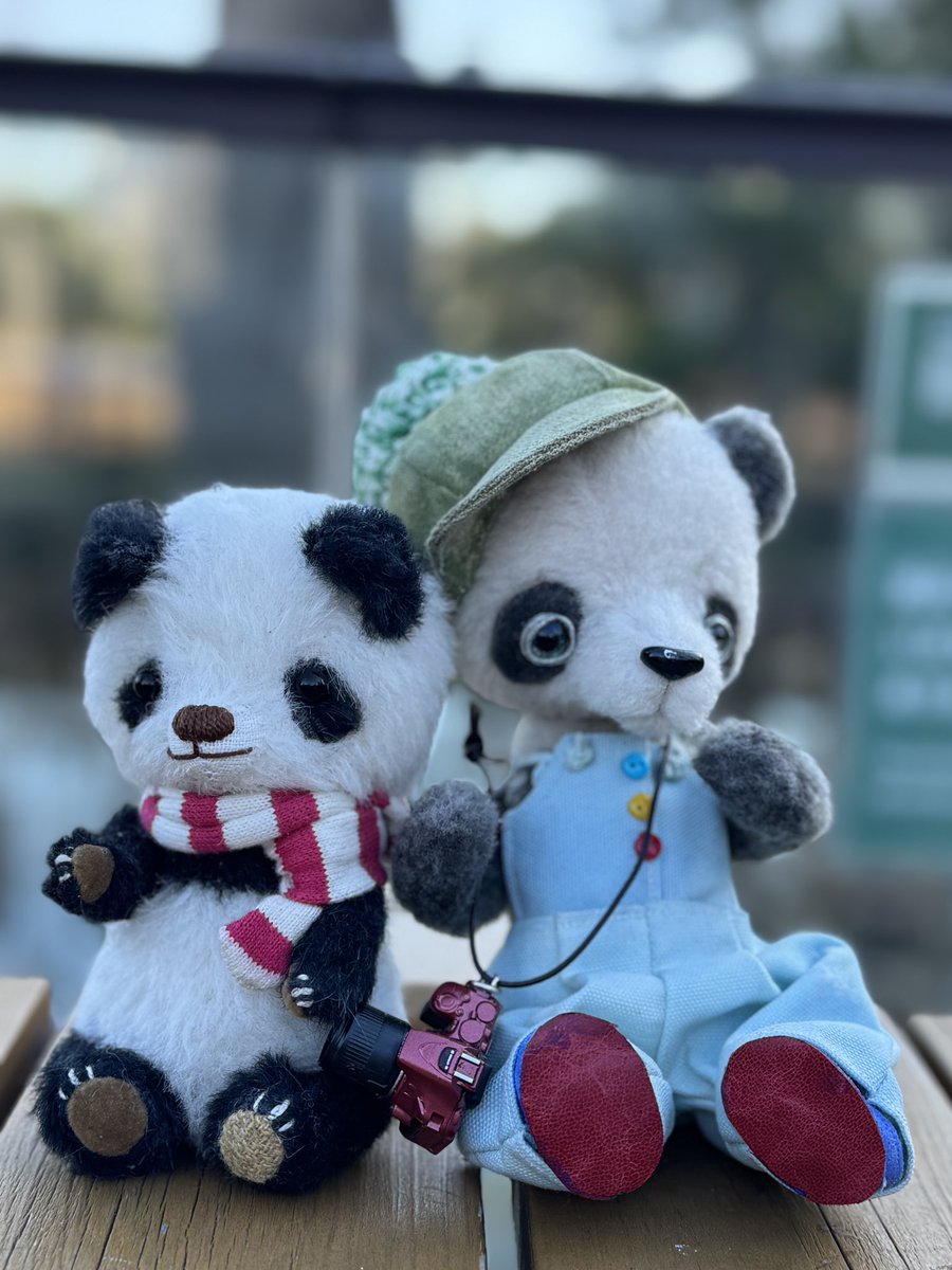 コボリサヤカ/sayakakobori 1月31日〜馬展in田原町 (@small8moat