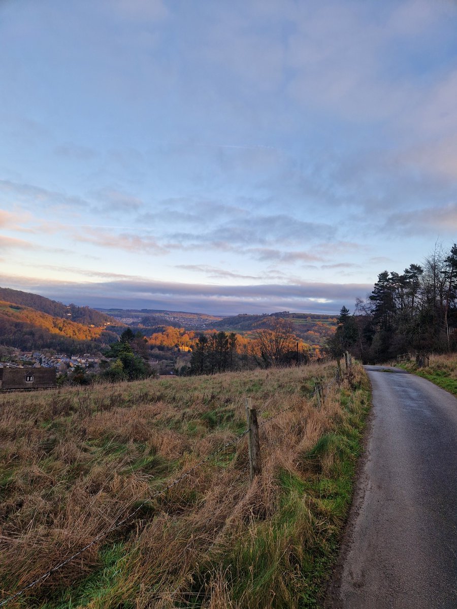 A Decorators Life tweet media