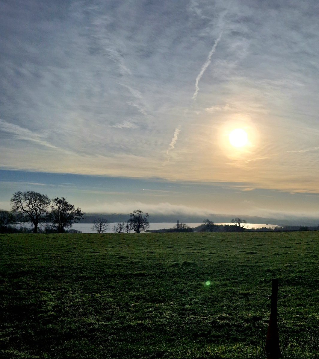 A Decorators Life tweet media