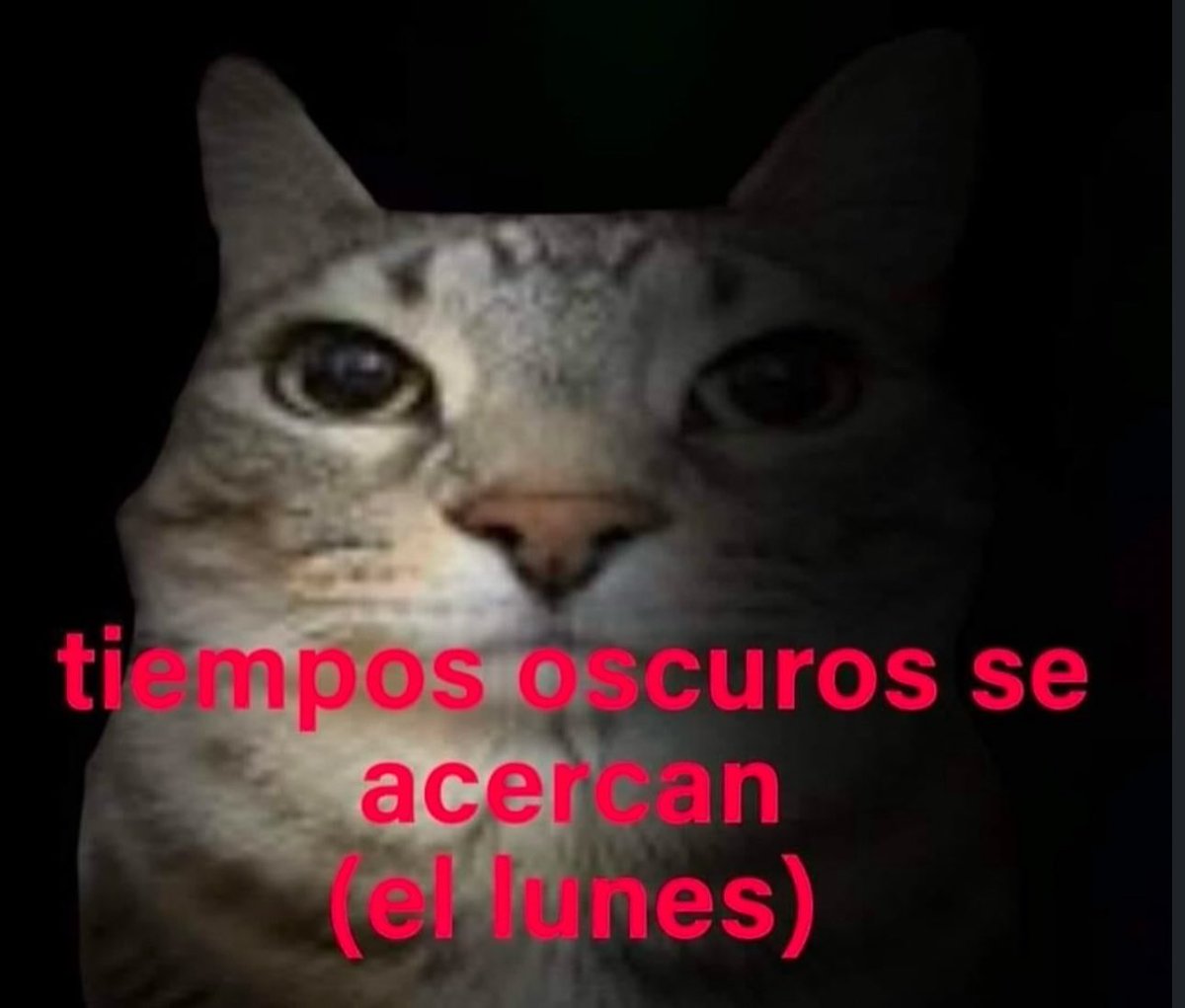 En Júpiter (@en_jupiter_) on Twitter photo 