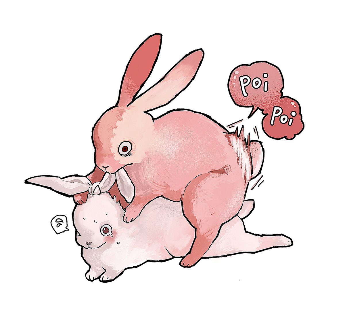 헤더를보세요 tweet media