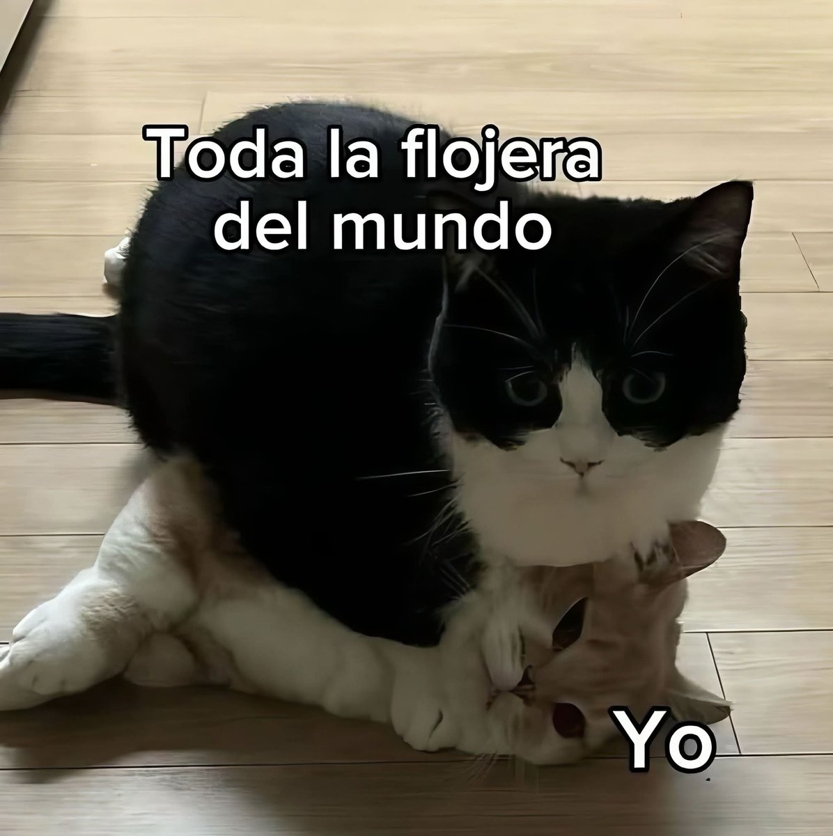 En Júpiter (@en_jupiter_) on Twitter photo 