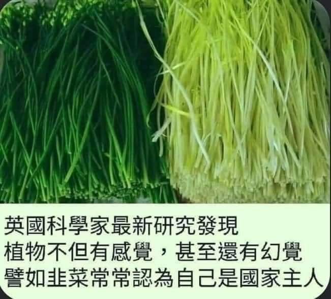 TReverie's tweet photo. https://t.co/fF0HwUKir0