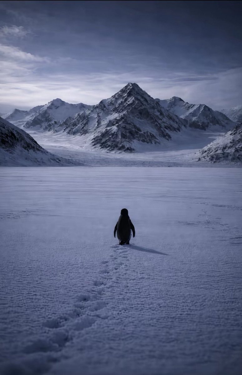 Erik Stevens 🐆 tweet media