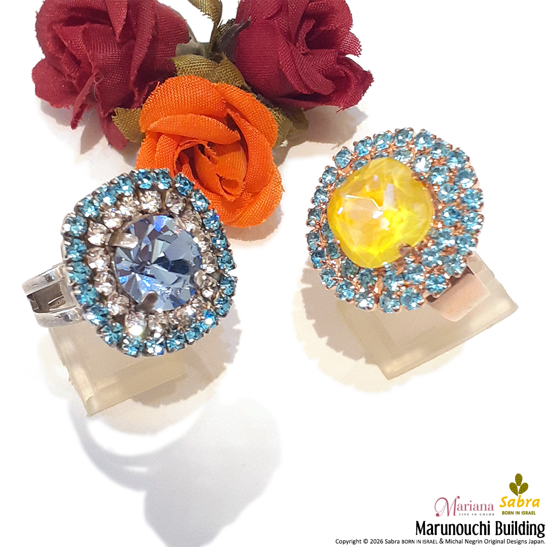 ミハエルネグリンのリング イヤリングセット 95479dbc1b609c07e13a1991f1dfa3