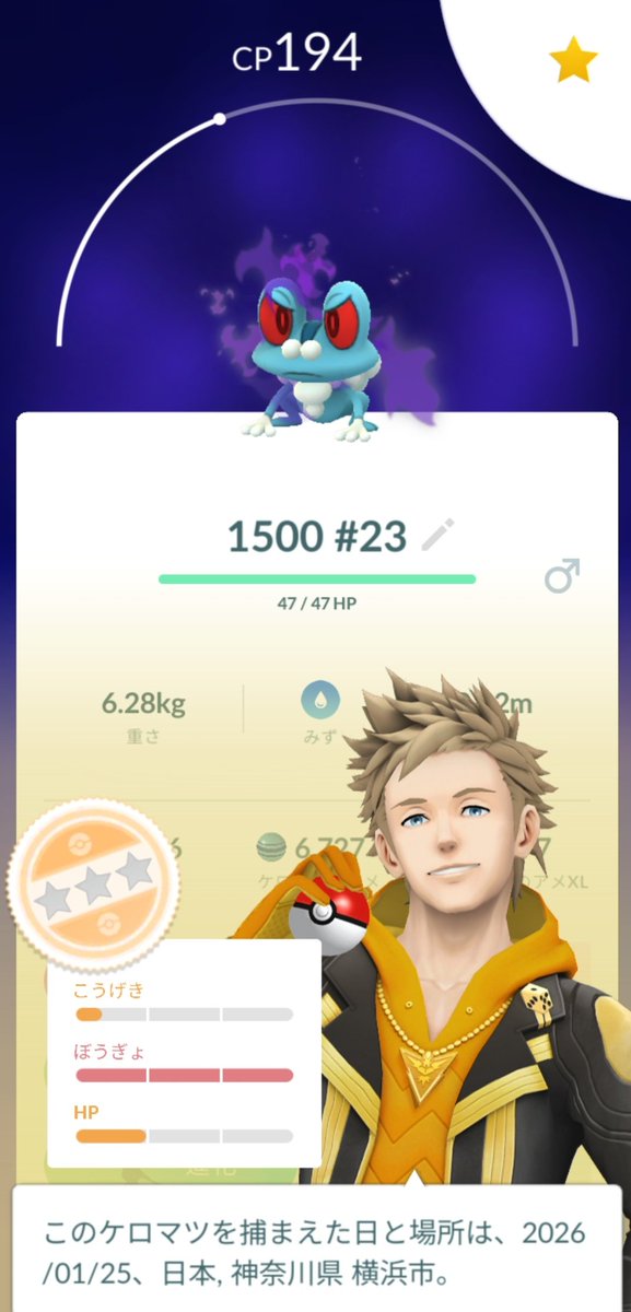 RB | 猫 tweet media