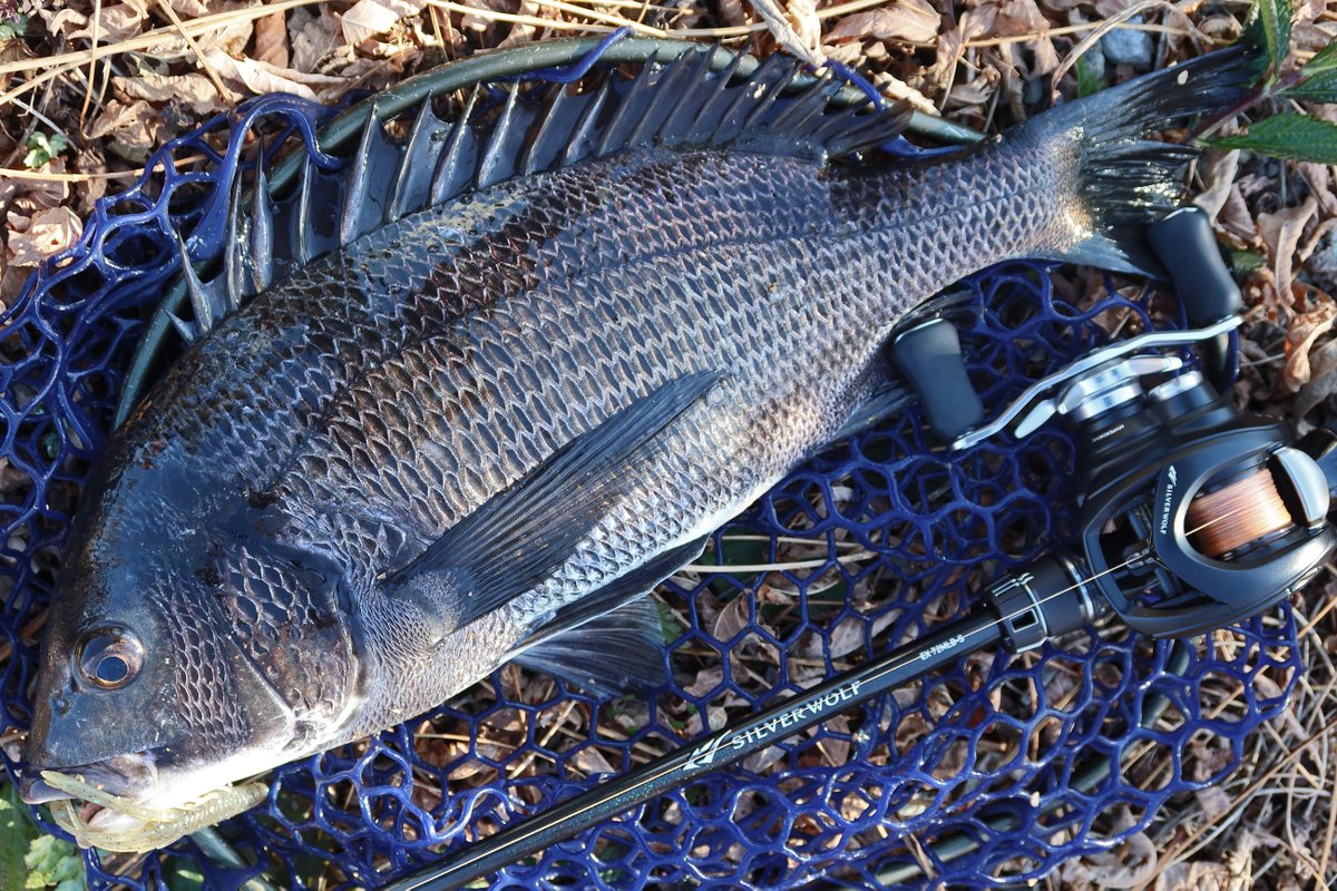 もりぞー (@morizo57) / Posts / X