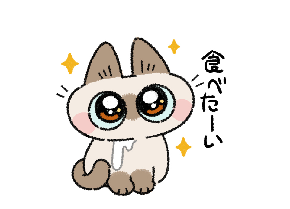 のべ子とシャム猫あずきさん tweet media