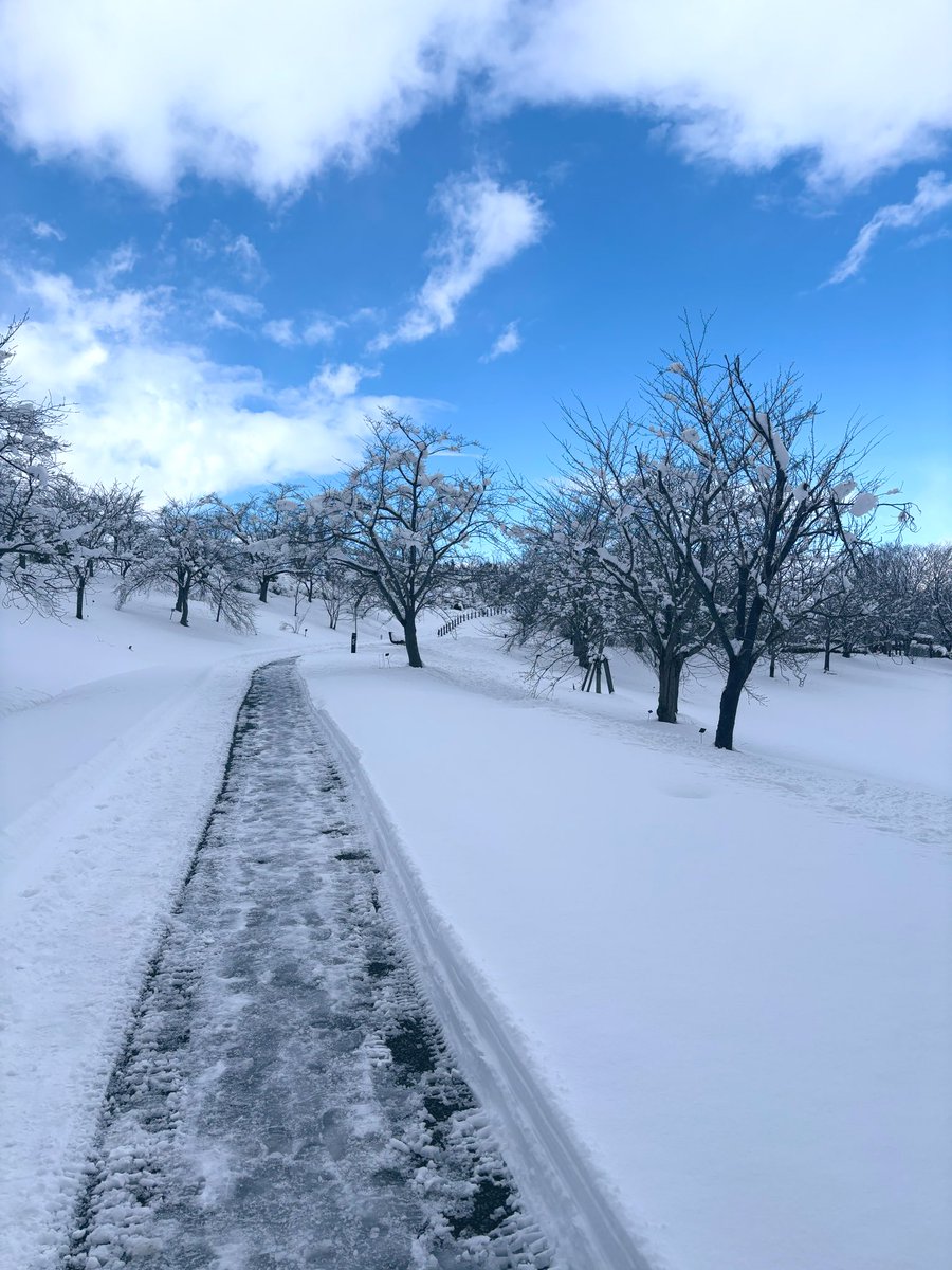 冬の晴れた日はあの人の色がいっぱいって空を見上げるメを想像して泣けた(ないてない)
やっぱり北に行こ、ｻﾄｭ……( ´•̥̥̥ω•̥̥̥`)✈️