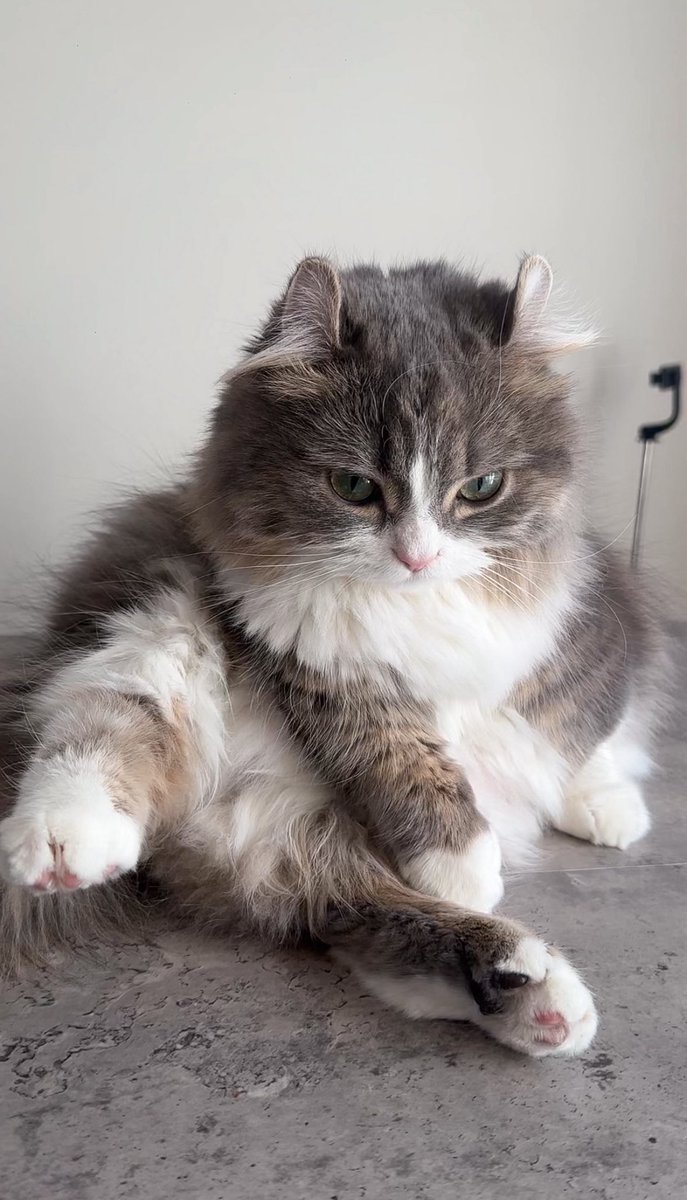 デブおやじすぎる🍺（1歳女の子）