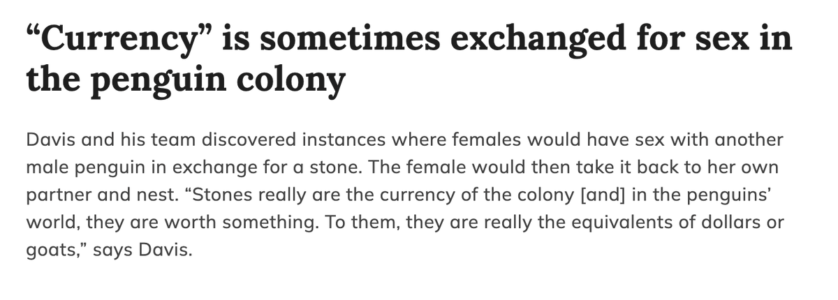 Lowskii_gg's tweet image. Stones = Penguin currency.

rd.com/article/pengui…