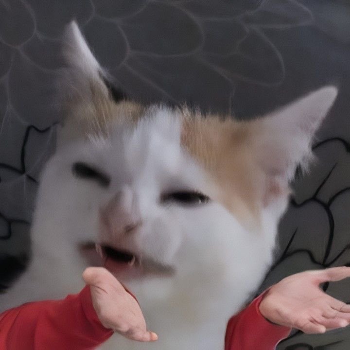 fluoxetan's tweet image. how am i supposed to sleep at night knowing the president of the largest muslim majority country supports a so called “peace board” backed by zionists?