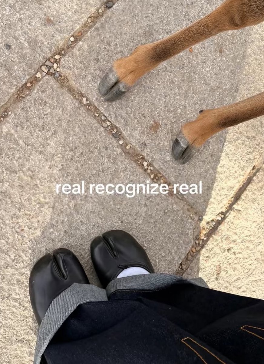 Respectful Memes (@respectfulmemes) on Twitter photo 