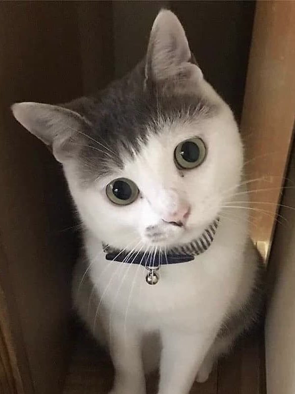 sukinyade's tweet image. 