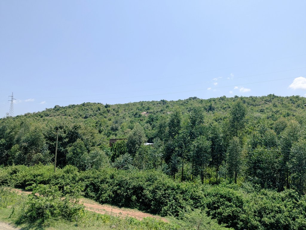 Michael Sessan tweet media