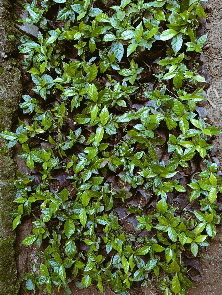 Michael Sessan tweet media